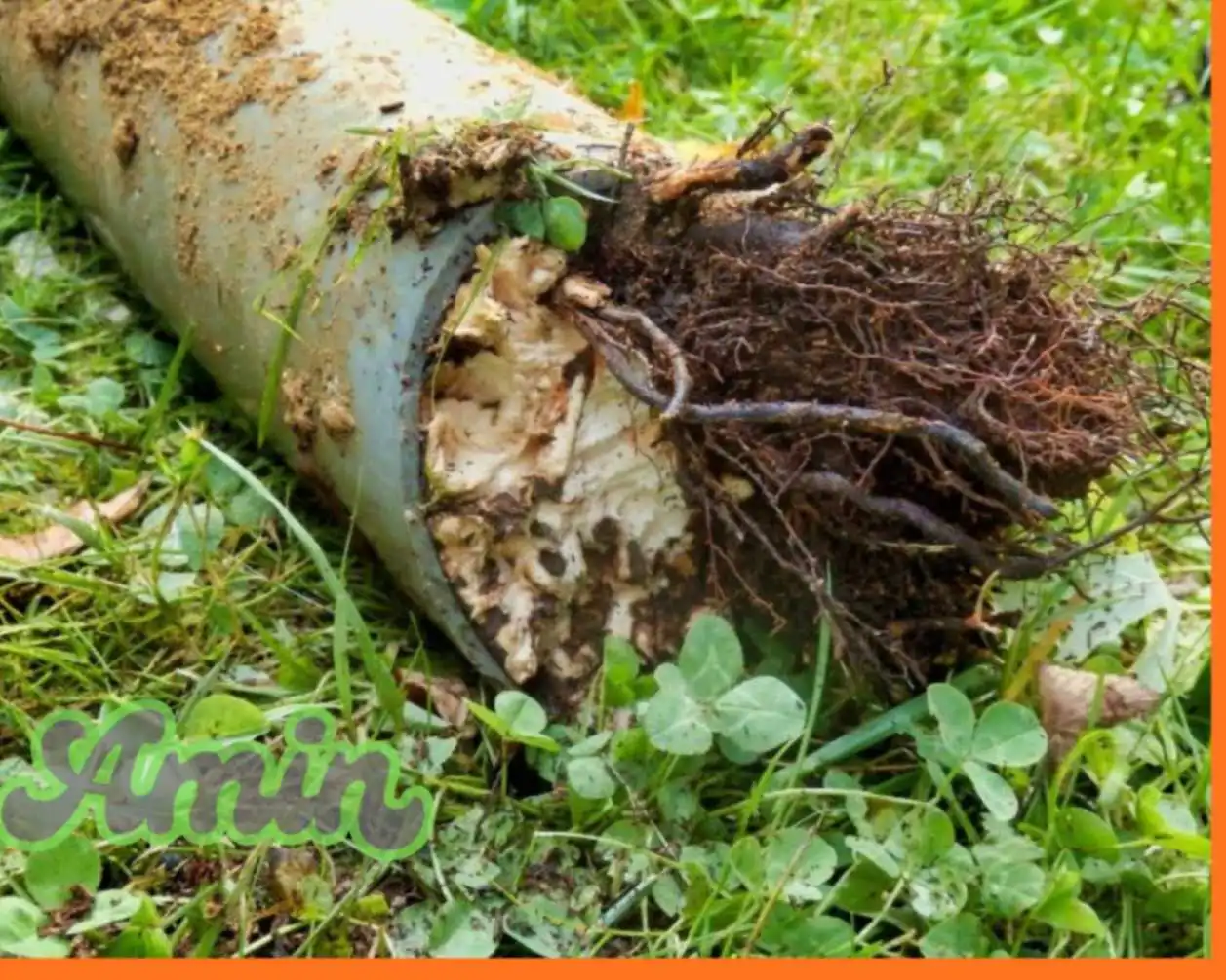 لوله بازکنی تبریز 10 jpeg optimizer زیاد